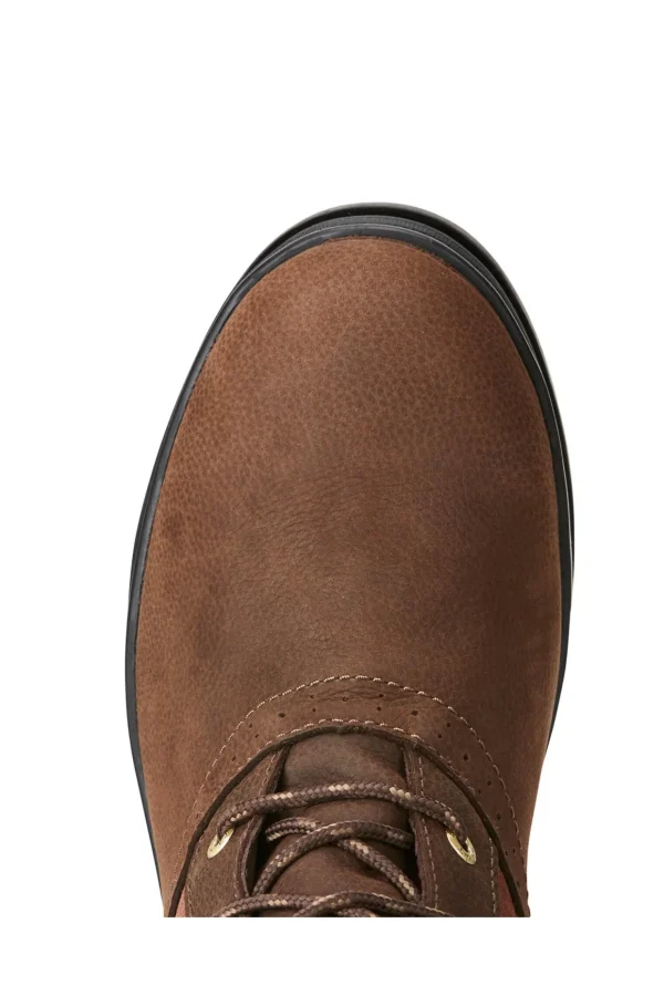 ariat Wythburn H2O fôrede vintersko, dame* Ridebukser