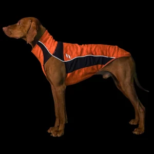 backontrack Back on Track Eddie High-Visibility genser, 50-55 cm* Hundeklær Og Hundedekken