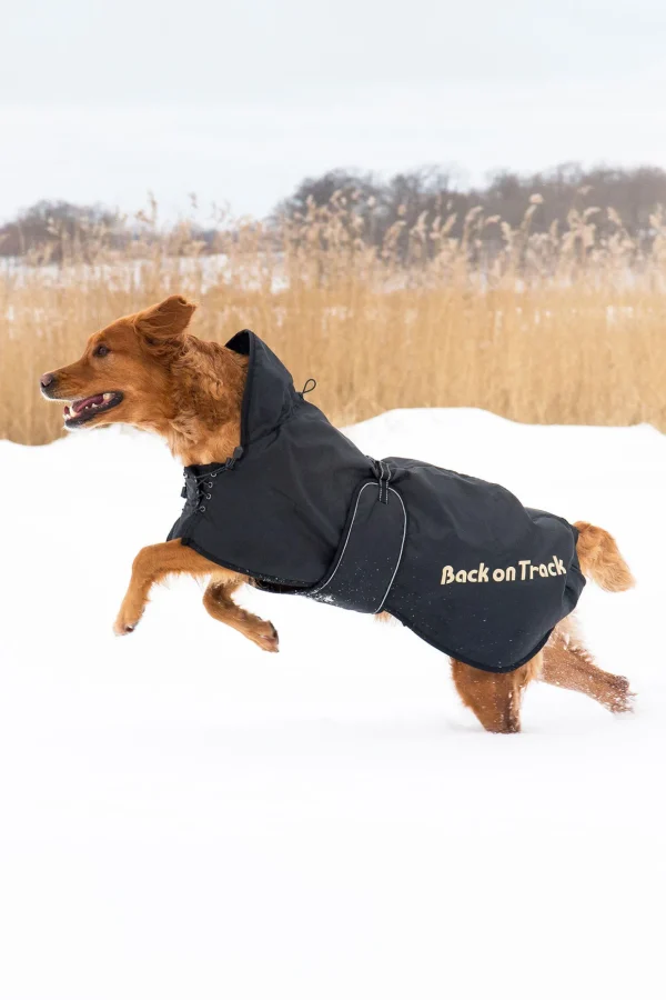 backontrack Back on Track hundedekken (43-59)* Hundeklær Og Hundedekken