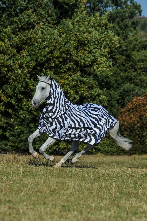 bucas Sweet-Itch Zebra eksemdekken med fast hals* Insektsdekken | Insektsdekken