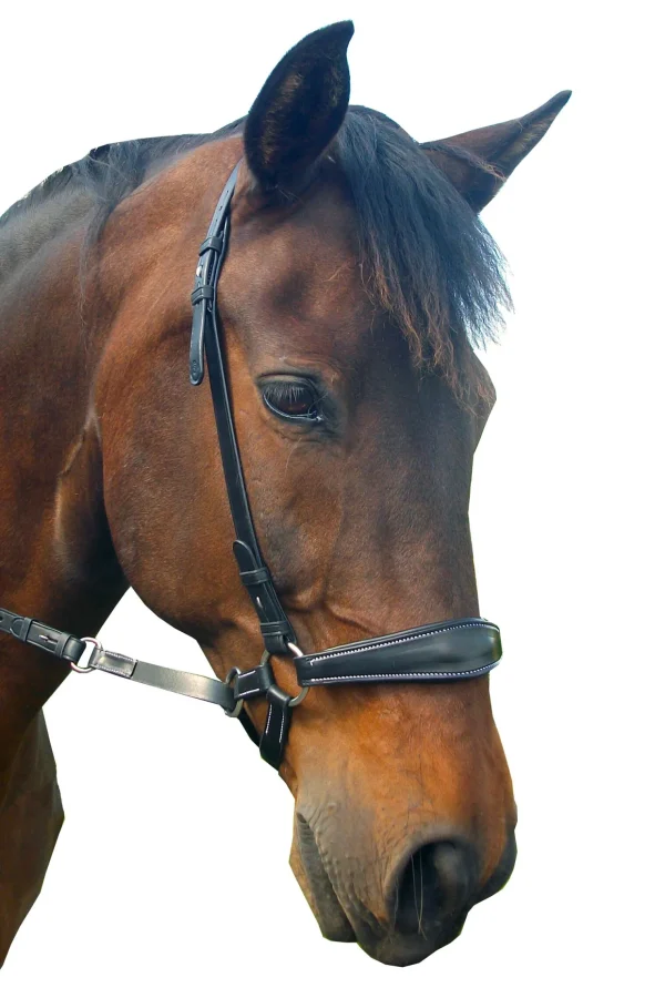 fra F.R.A. Freedom Riding Articles Lami bitless bridle (system 4) med tøyler og krokfeste* Hodelag & Nesereimer