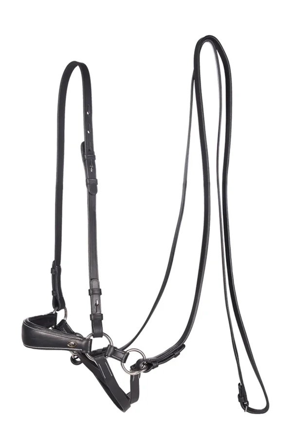 fra F.R.A. Freedom Riding Articles Lami bitless bridle (system 4) med tøyler og krokfeste* Hodelag & Nesereimer