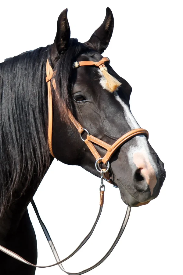 fra F.R.A. Freedom Riding Articles Shango sidepull (system 3) western-utseende, lær* Western | Hodelag & Nesereimer