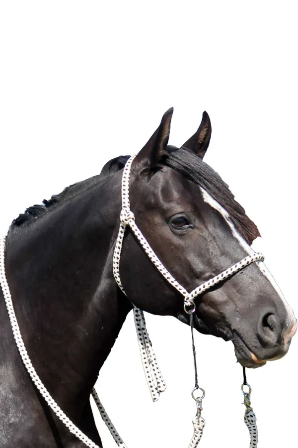 fra F.R.A. Freedom Riding Articles Nanouk bitless bridle (system 4) bomull med klipstøyler* Hodelag & Nesereimer