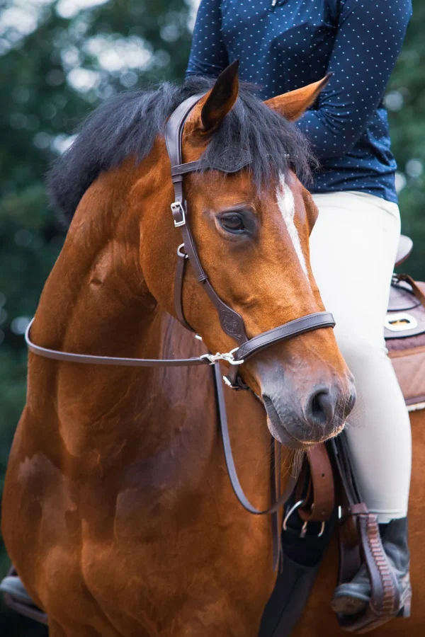 fra F.R.A. Freedom Riding Articles Dandy sidepull med tøyler (system 3)* Hodelag & Nesereimer