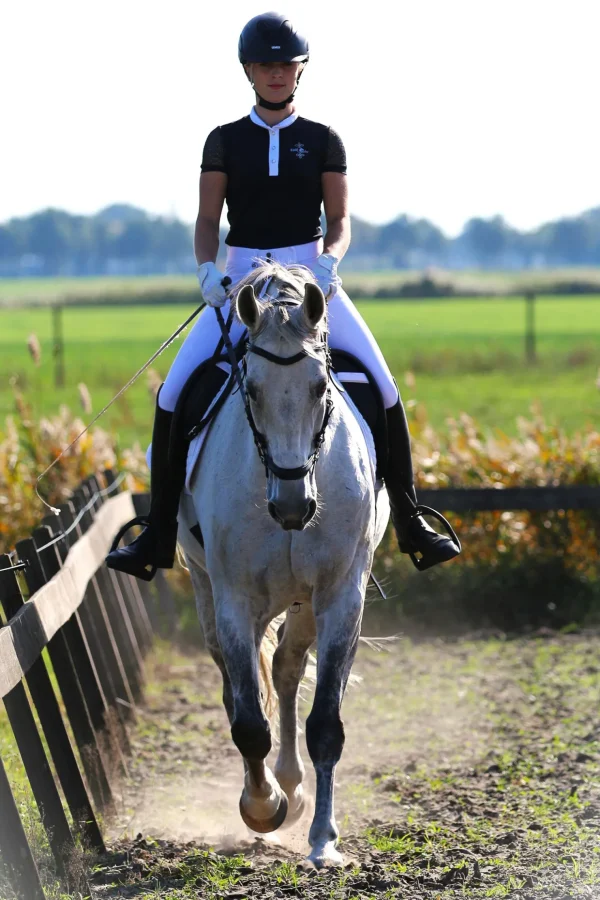 fra F.R.A. Freedom Riding Articles Calli hodelag Hackamore med tøyler (system 2)* Hodelag & Nesereimer