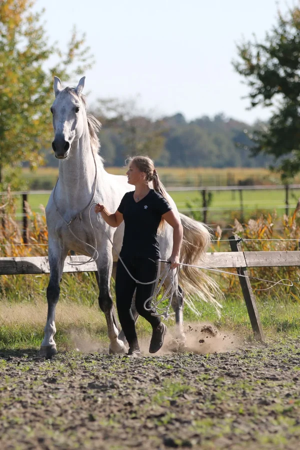 fra F.R.A. Freedom Riding Articles Flinn Treningstau i bomull, 820 cm* Longeringsliner Og Doble Longeringsliner | Longeringsliner Og Doble Longeringsliner