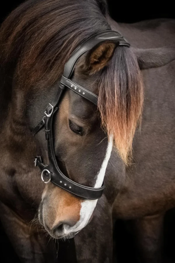 fra F.R.A. Freedom Riding Articles Glory sidepull med tøyler (system 3), svart* Hodelag & Nesereimer