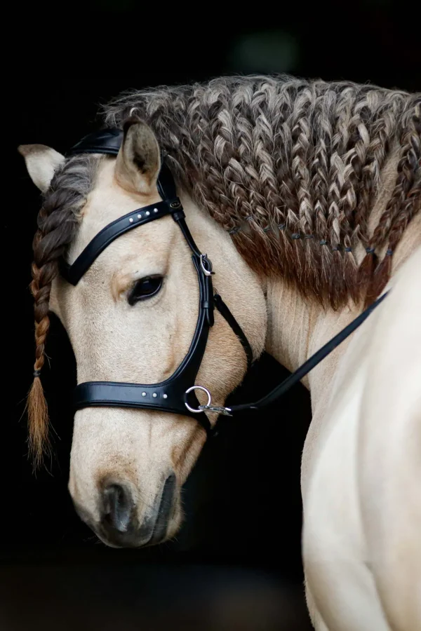 fra F.R.A. Freedom Riding Articles Glory sidepull med tøyler (system 3), svart* Hodelag & Nesereimer