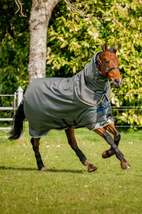 horseware Amigo Bravo 12 Plus utedekken, 250g* Overgangsdekken & Vinterdekken