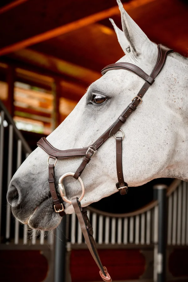 horseware Micklem 2 Competition hodelag med gummitøyler* Ponni Hodelag Og Grimer | Hodelag & Nesereimer