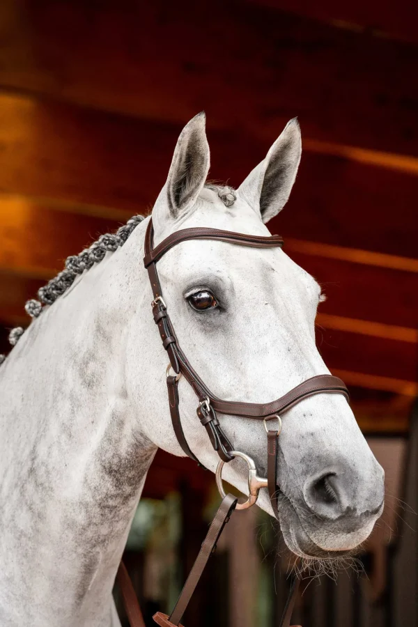 horseware Micklem 2 Competition hodelag med gummitøyler* Ponni Hodelag Og Grimer | Hodelag & Nesereimer