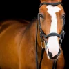 horseware Micklem 2 Deluxe Competition Hodelag* Ponni Hodelag Og Grimer | Hodelag & Nesereimer