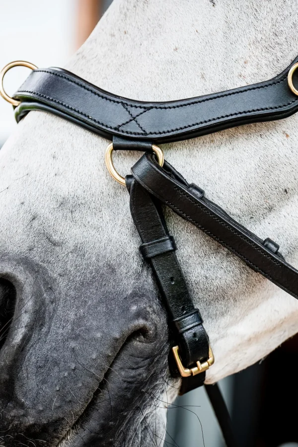 horseware Micklem 2 Multi Hodelag* Ponni Hodelag Og Grimer | Hodelag & Nesereimer