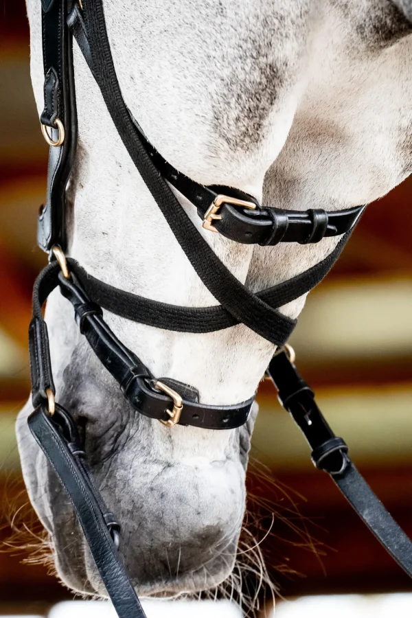 horseware Micklem 2 Multi Hodelag* Ponni Hodelag Og Grimer | Hodelag & Nesereimer