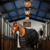 horseware Rambo stalldekken, 400g* Stalldekken