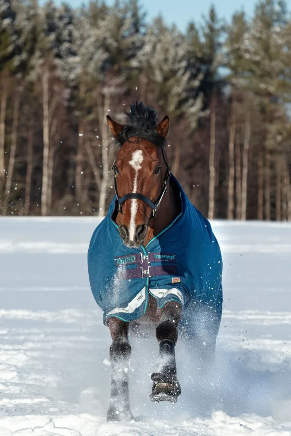 horseware Rhino Original utedekken, medium VL, 250g* Overgangsdekken & Vinterdekken