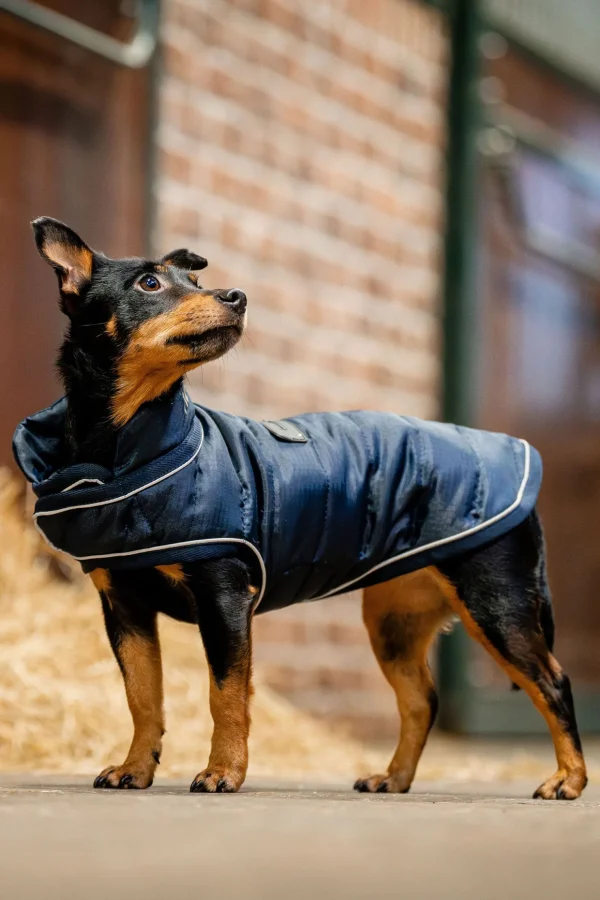 horseware Signature Hundekappe* Hundeklær Og Hundedekken