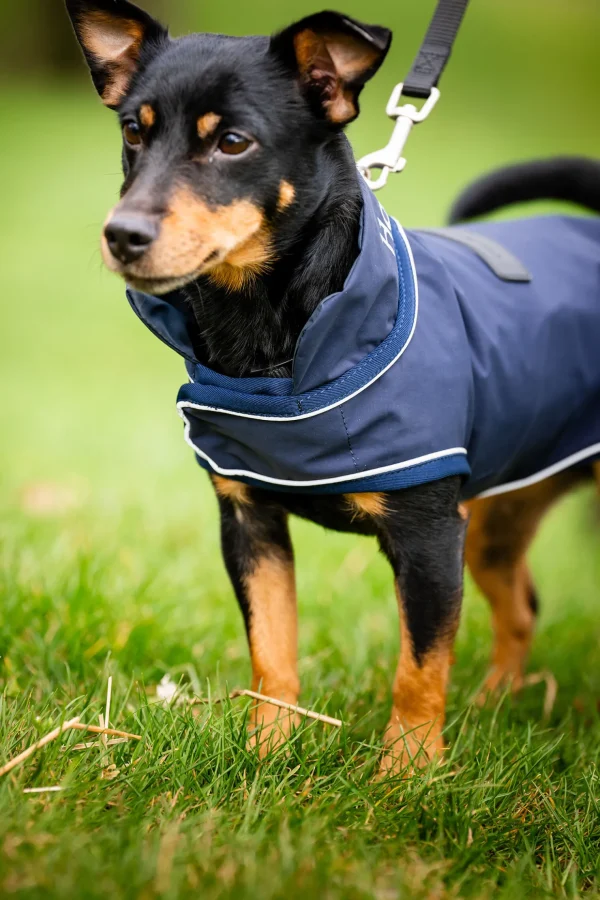 horseware Signature Hunderegnfrakk* Hundeklær Og Hundedekken