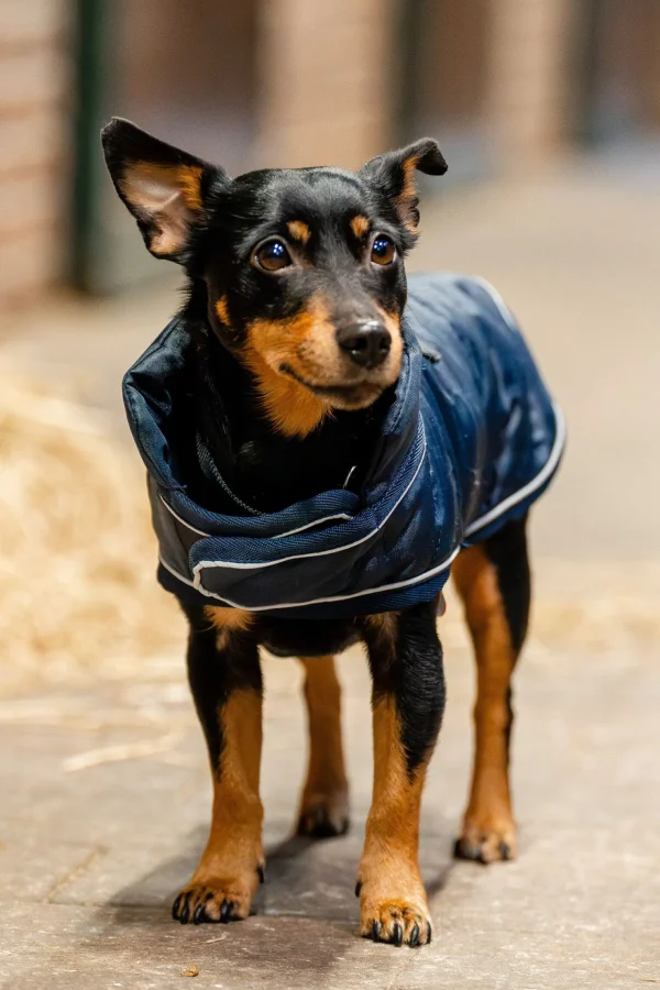 horseware Signature Hundekappe* Hundeklær Og Hundedekken