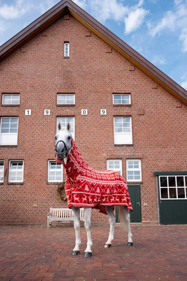 horze julegenser til hester* Ulldekken Og Svettedekken