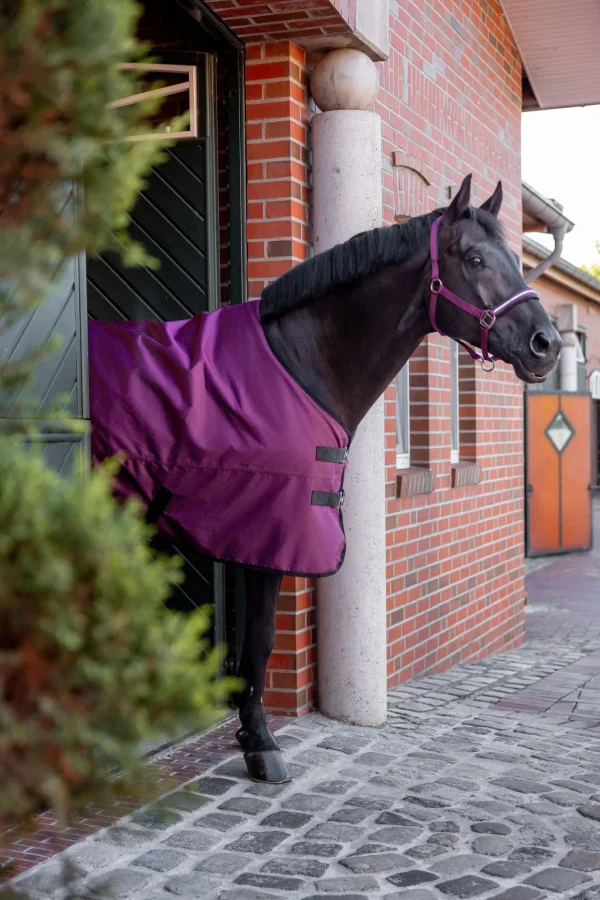 horze Newbridge utedekken, 100g* Nettdrevne Gjerdeapparater & Batteridrevne Gjerdeapparater | Regndekken