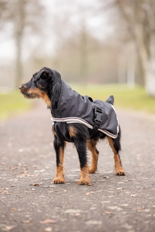 horze Sudbury 2-i-1 hundedekken, 0 og 100 gram* Hundeklær Og Hundedekken