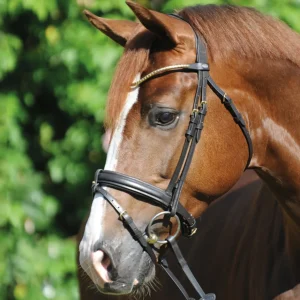 kavalkade Clinchesse Bridle* Ponni Hodelag Og Grimer | Hodelag & Nesereimer