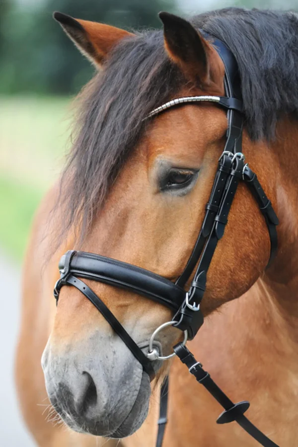 kavalkade Clinchesse Bridle* Ponni Hodelag Og Grimer | Hodelag & Nesereimer