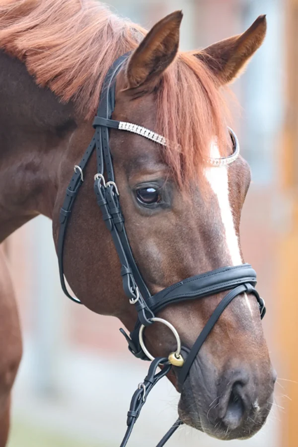 kavalkade Everness Bridle* Ponni Hodelag Og Grimer | Hodelag & Nesereimer