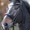 kavalkade Fleur Double Bridle* Hodelag & Nesereimer