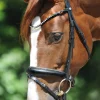 kavalkade Grey Bridle* Ponni Hodelag Og Grimer | Hodelag & Nesereimer