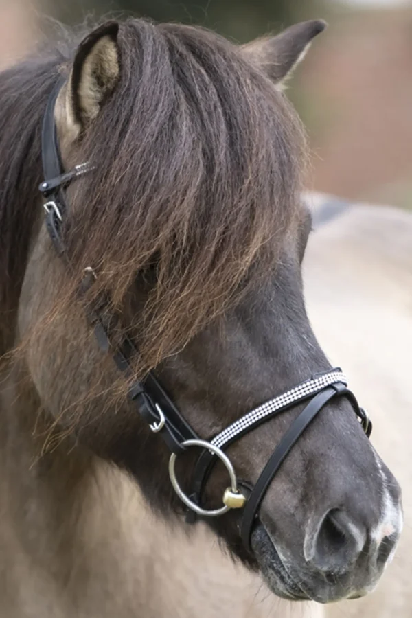 kavalkade Hvítur English Noseband for Aradis Icelandic Bridle* Hodelag & Nesereimer