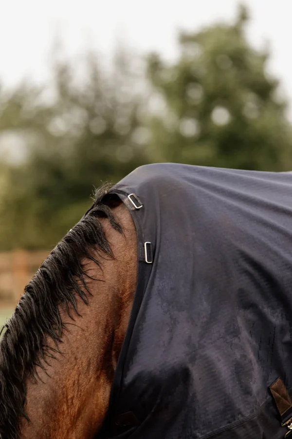 kentucky Horsewear All Weather utedekken, 300 gram* Overgangsdekken & Vinterdekken