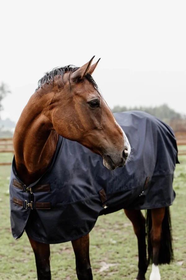 kentucky Horsewear All Weather utedekken, 300 gram* Overgangsdekken & Vinterdekken