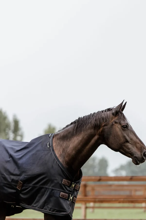 kentucky Horsewear All Weather utedekken, 300 gram* Overgangsdekken & Vinterdekken