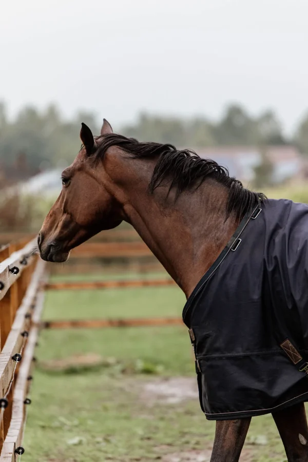 kentucky Horsewear All Weather utedekken, 300 gram* Overgangsdekken & Vinterdekken