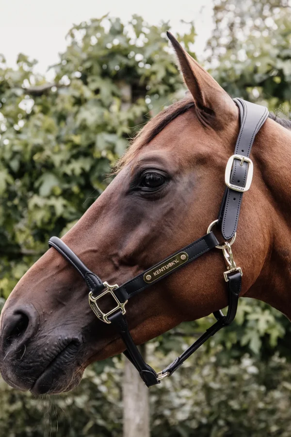 kentucky Horsewear anatomisk lærgrime* Lærgrimer