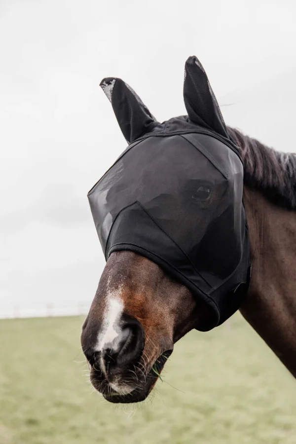 kentucky Horsewear Classic fluemaske med ører* Fluemasker & Fluepannebånd | Fluemasker & Fluepannebånd