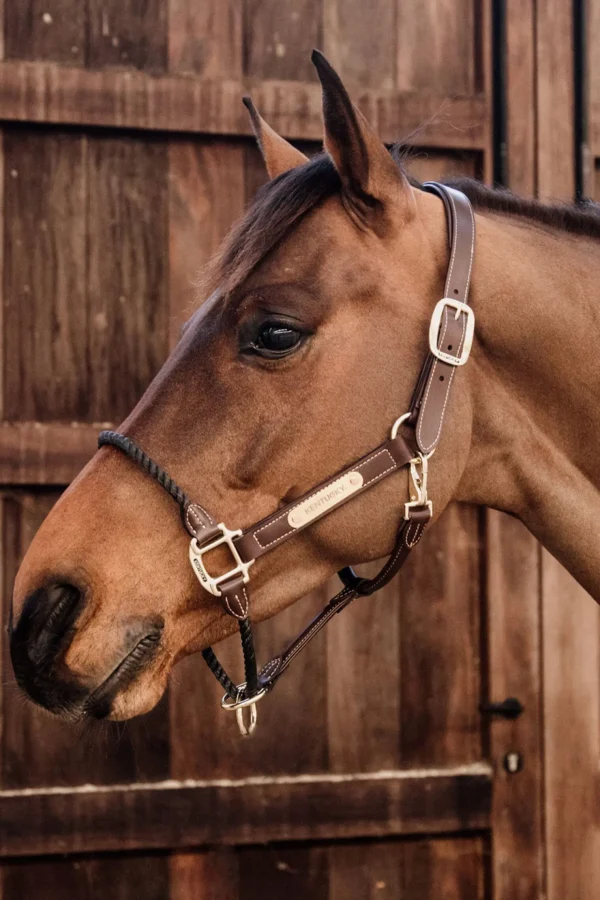 kentucky Horsewear leather rope grime* Lærgrimer