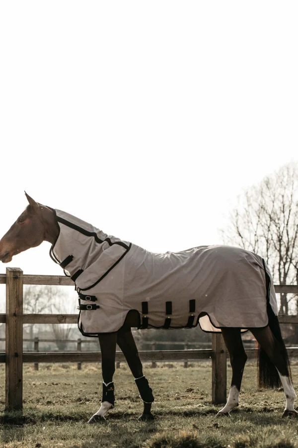 kentucky Horsewear Mesh Fly Rug* Insektsdekken | Insektsdekken