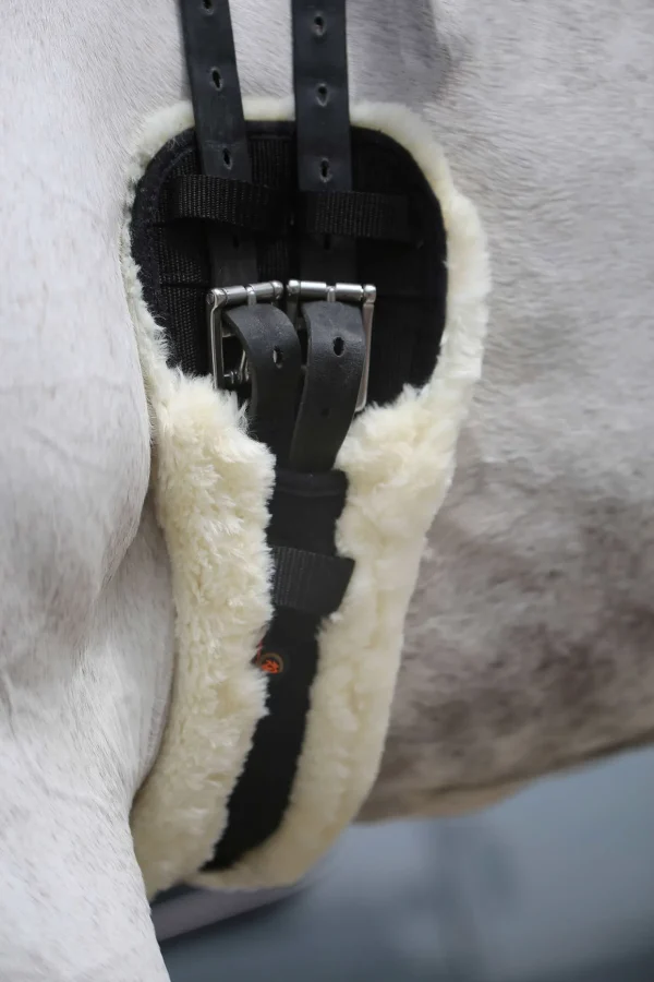 kentucky Horsewear saueskinn kort gjord* Gjorder