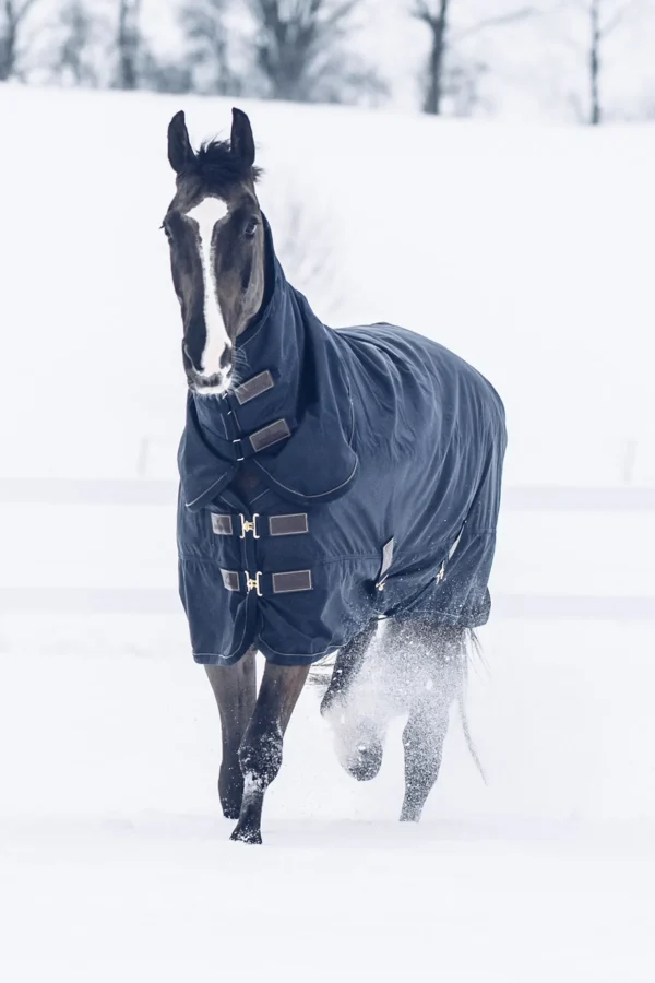 kentucky Horsewear Tiny All Weather utedekken, 300 gram* Ponnidekken | Ponnidekken