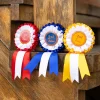 lemieux Hobby Horse Rosette Pack* Hesteleker