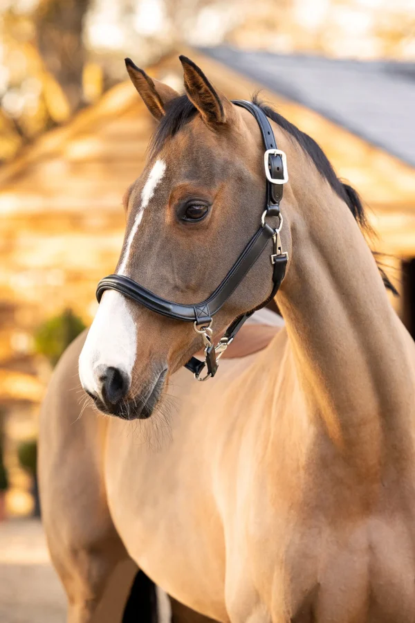 lemieux Leather Grooming Headcollar* Lærgrimer