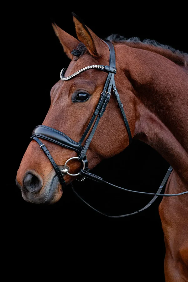 schockemohle Schockemöhle Siena hodelag* Ponni Hodelag Og Grimer | Hodelag & Nesereimer