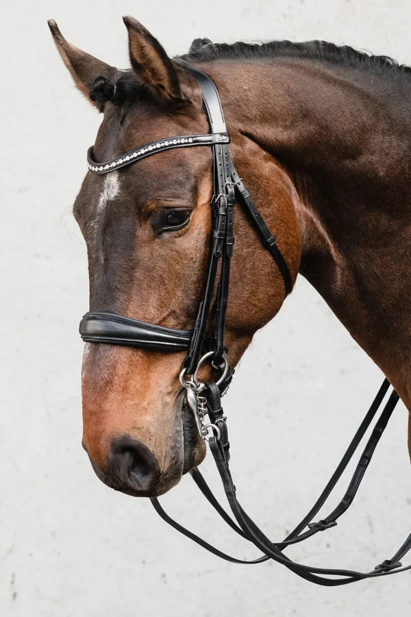 schockemohle Schockemöhle Sports Milton Anatomic  Double Bridle* Hodelag & Nesereimer