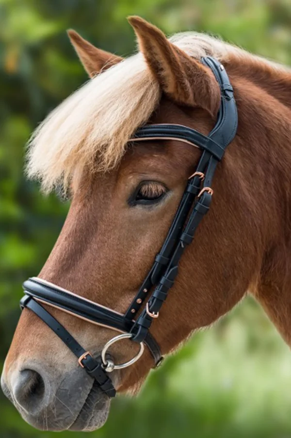 waldhausen Rose Icelandic Bridle* Ponni Hodelag Og Grimer | Hodelag & Nesereimer