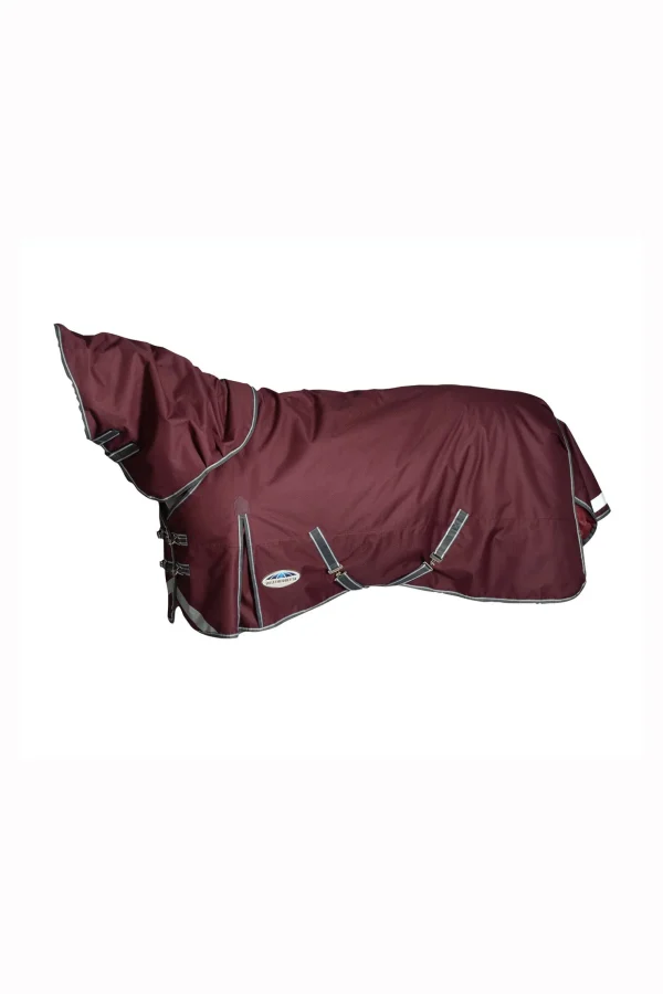 weatherbeeta Comfitec Plus Dynamic II Detach-a-Neck Heavy Turnout Rug, 360g* Overgangsdekken & Vinterdekken