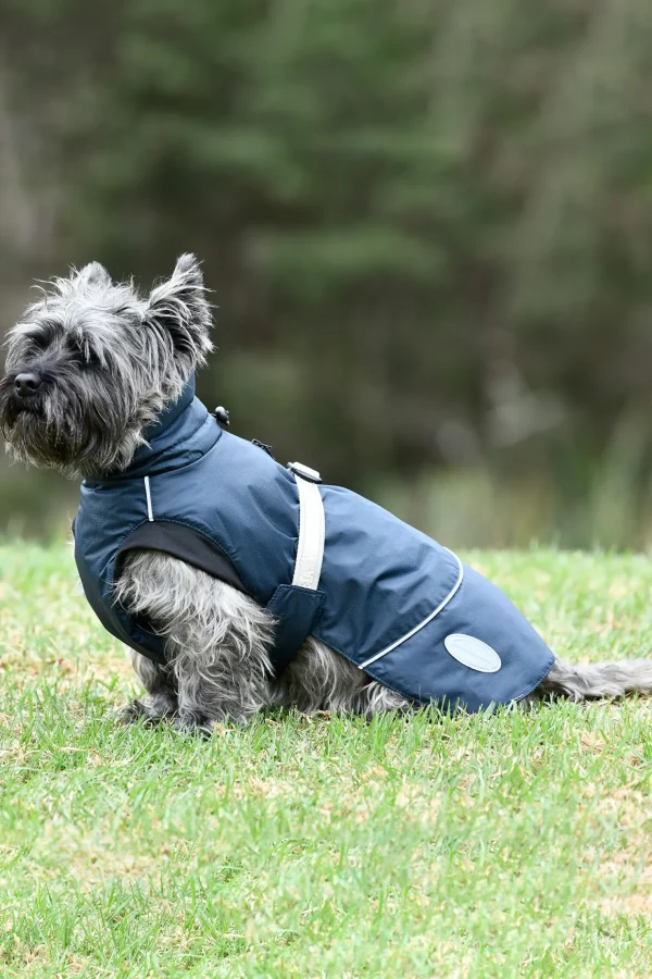 weatherbeeta Explorer Medium Hundefrakk* Hundeklær Og Hundedekken